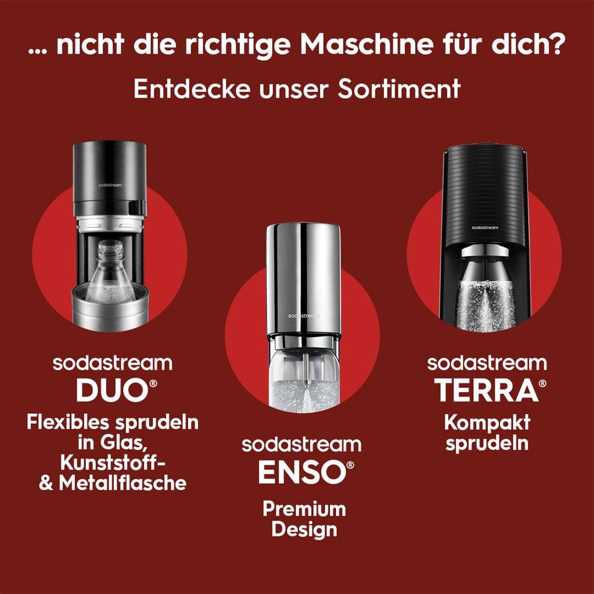 Wassersprudler mit 2 CO₂-Zylindern und 2 Glaskaraffen, 0,7 L, Quick Connect